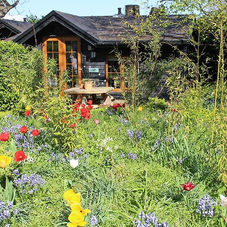 Bluebell Cottage - 27635 Darenth Dış mekan fotoğraf